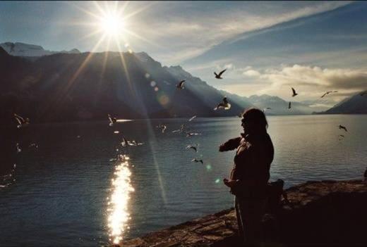 Seehotel Sternen Brienz (Bern)